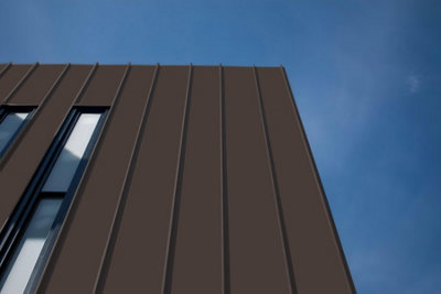 Leyland Trade Wood & Metal Fast Drying PLUS Satin Paint Racy Raisin ...