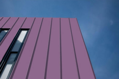 Leyland Trade Wood & Metal High Gloss Paint Flowering Raspberry ...