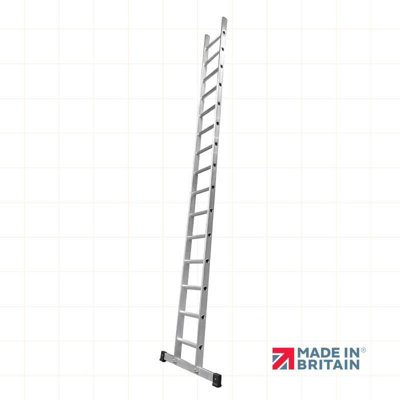 LFI PRo Single Section 9 Rung Ladder 2.5m