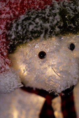 Light Up Polar Bear Christmas Decoration - 5