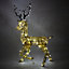 Light up Reindeer Gold Stag & Doe Set