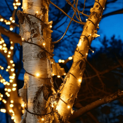 Lighting Legends 10M Pro Link Connectable Outdoor & Indoor LED Fairy ...