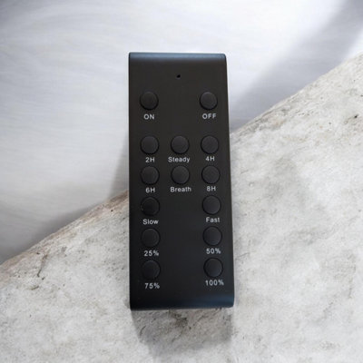 Lighting Legends Elite Festoon Outdoor Dimmer Unit With Remote Control