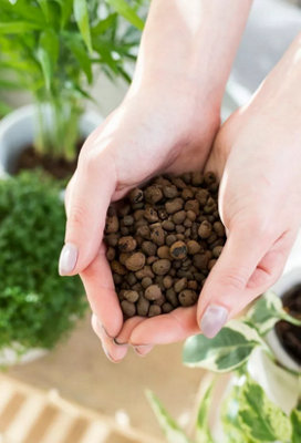 Lightweight CLAY Pebbles Hydroponics Aggregate Flower Cacti Plants Growing 4-8mm 1 Litre - 4