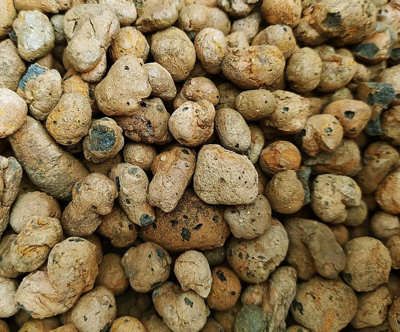 Lightweight CLAY Pebbles Hydroponics Aggregate Flower Cacti Plants Growing 8-16m 10 Litres - 4