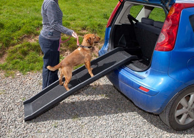 Foldable best sale pet ramp