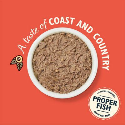 Lily's Kitchen Catch of the Day - Grain-Free Adult Cat Wet Food, 19 x 85g