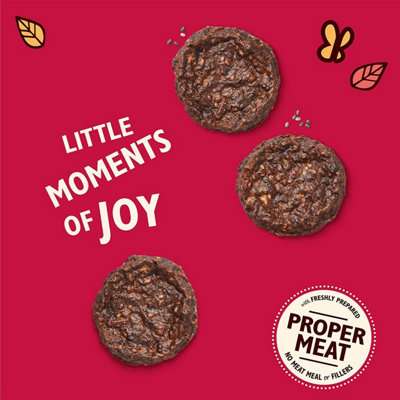 Lily's Kitchen The Best Ever Mini Beef Burgers Grain Free Dog Treats, 8 x 70g