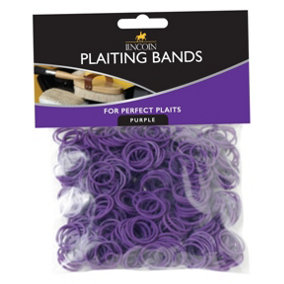 Lincoln Plaiting Bands (500 Pack) Purple (One Size)