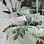 Linen House Glasshouse Botanical 100% Cotton Duvet Cover Set
