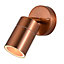 Litecraft Kenn Copper Adjustable Outdoor Wall Light