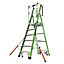 Little Giant 6 Tread Fibreglass GRP Safety Cage 2.0