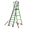 Little Giant 8 Tread Fibreglass GRP Safety Cage 2.0