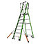 Little Giant 8 Tread Fibreglass GRP Safety Cage 2.0