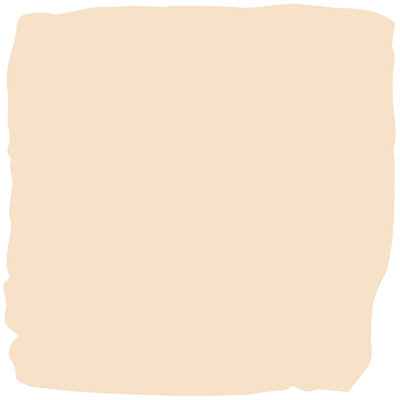 Little Knights Interior Emulsion Paint - Matte - Crushed Apricot - 5 Litres