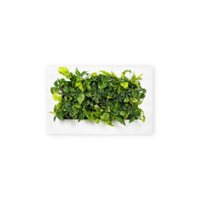LIVE PICTURE - Living wall frame - 112cm - White