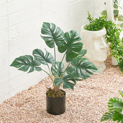 Living Room Artificial Simulation Turtle Back Leaf Plant Potted Ornamentwith Black Planter 53 cm