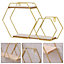 Livingandhome 2 Tier Honeycomb Modern Hexagonal Wall Floating Shelf