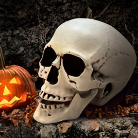 Livingandhome Halloween Realistic Plastic Skull Tabletop Decoration