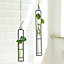 Livingandhome Hanging Test Tube Glass Hydroponic Planter with Hemp Rope H 272 mm