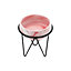 Livingandhome Pink Ceramic Tabletop Plant Pot with Metal Stand Dia 12.5cm