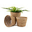 LIVIVO 3 Medium Seagrass Handwoven Belly Flower Plant Pots - Natural Indoor Woven Planter Pot - Great for Office & Home Decoration