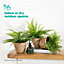 LIVIVO 3 Small Seagrass Handwoven Belly Flower Plant Pots - Natural Indoor Woven Planter Pot - Great for Office & Home Decoration