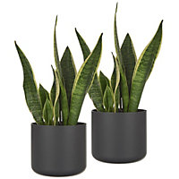 LIVIVO Indoor Plant Pots - Set of 2, Gardening Pot for All House Plants, Herbs & Foliage Plant - Ideal Home Decor & Flower Planter
