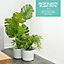 LIVIVO Indoor Plant Pots - Set of 2, Gardening Pot for All House Plants, Herbs & Foliage Plant - Ideal Home Decor Planter - 22cm