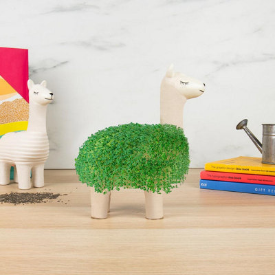 Llama Ceramic Planter With Seeds Growing Kit