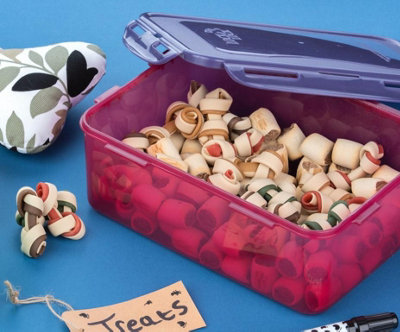 LocknLock Eco Red and Blue Rectangular Recycled Plastic Food Storage ...