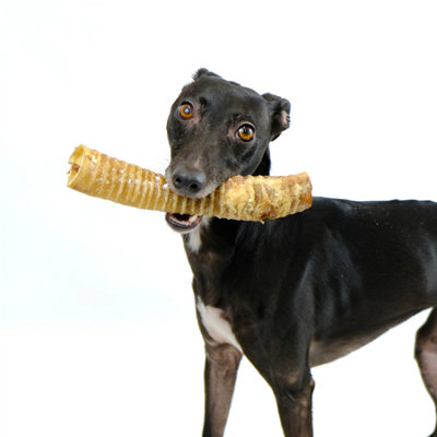 Long Trachea (Mixed 15-40cm-(4kg)) Natural Dog Treat