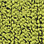Loop Pile Heavy Duty Carpet Tiles(50X50cm)Flooring Green. Bitumen Backing Contract, Office, Shop, Home. 20 tiles (5SQM)