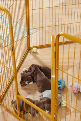 Lords and Labradors High Metal Puppy Play Pen Price Comparisons | Compare The Build
