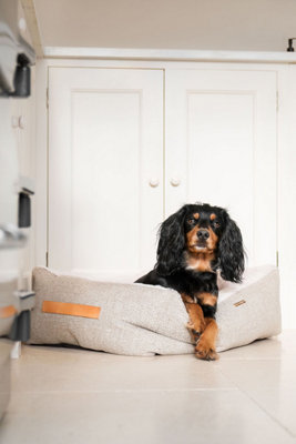 Lords & Labradors Essentials Herdwick Dog Box Bed Price Comparisons | Compare The Build