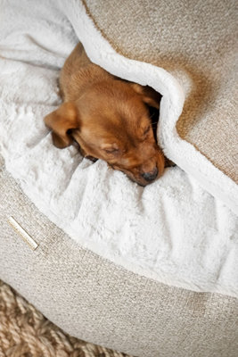Lords & Labradors Essentials Herdwick Dog Den Price Comparisons | Compare The Build