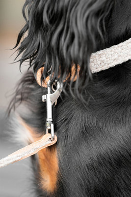 Lords & Labradors Essentials Herdwick Dog Lead Price Comparisons | Compare The Build