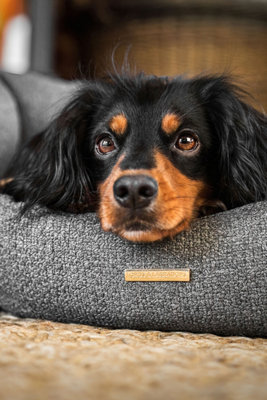 Lords & Labradors Essentials Herdwick Oval Dog Bed Price Comparisons | Compare The Build