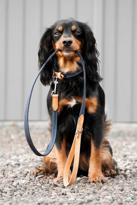 Lords & Labradors Essentials Twill Dog Collar Price Comparisons | Compare The Build