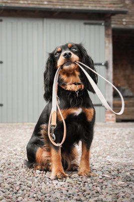 Lords & Labradors Essentials Twill Dog Lead Price Comparisons | Compare The Build