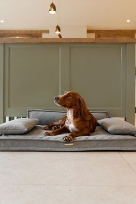 Lords & Labradors Execu-Sofa in Ash Price Comparisons | Compare The Build