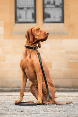 Lords & Labradors Italian Leather Dog Lead Price Comparisons | Compare The Build