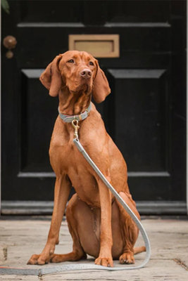 Lords & Labradors Ostrich Leather Dog Lead Price Comparisons | Compare The Build