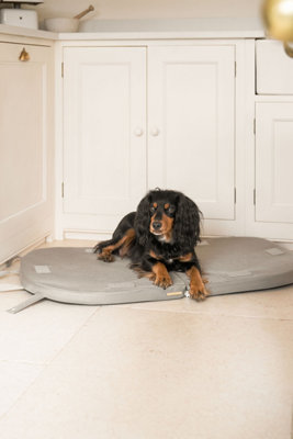 Lords & Labradors The Ultimate Capsule Dog Bed Price Comparisons | Compare The Build