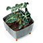 Low Planter Flower Pot with Legs Insert Square Decorative Indoor Outdoor Anthracite Concrete Medium