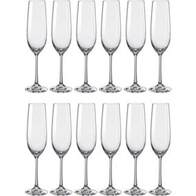 Lucente 200ml Crystal Champagne Flutes 12PC Set