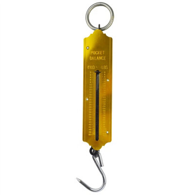 Luggage Fishing Pocket Spring Balance Weighing Scales 50KG