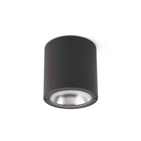 Luminosa Goz LED Outdoor Surface Mounted Ceiling Light Dark Grey IP54