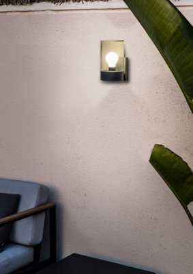 Luminosa Kila Dark Grey Wall Lantern Lamp Transparent 2700K IP65