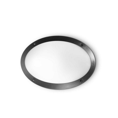 Luminosa Maddi 1 Light Diffuser Outdoor Flush Ceiling / Wall Light ...